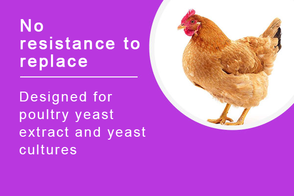 Antibiotic-Free Products